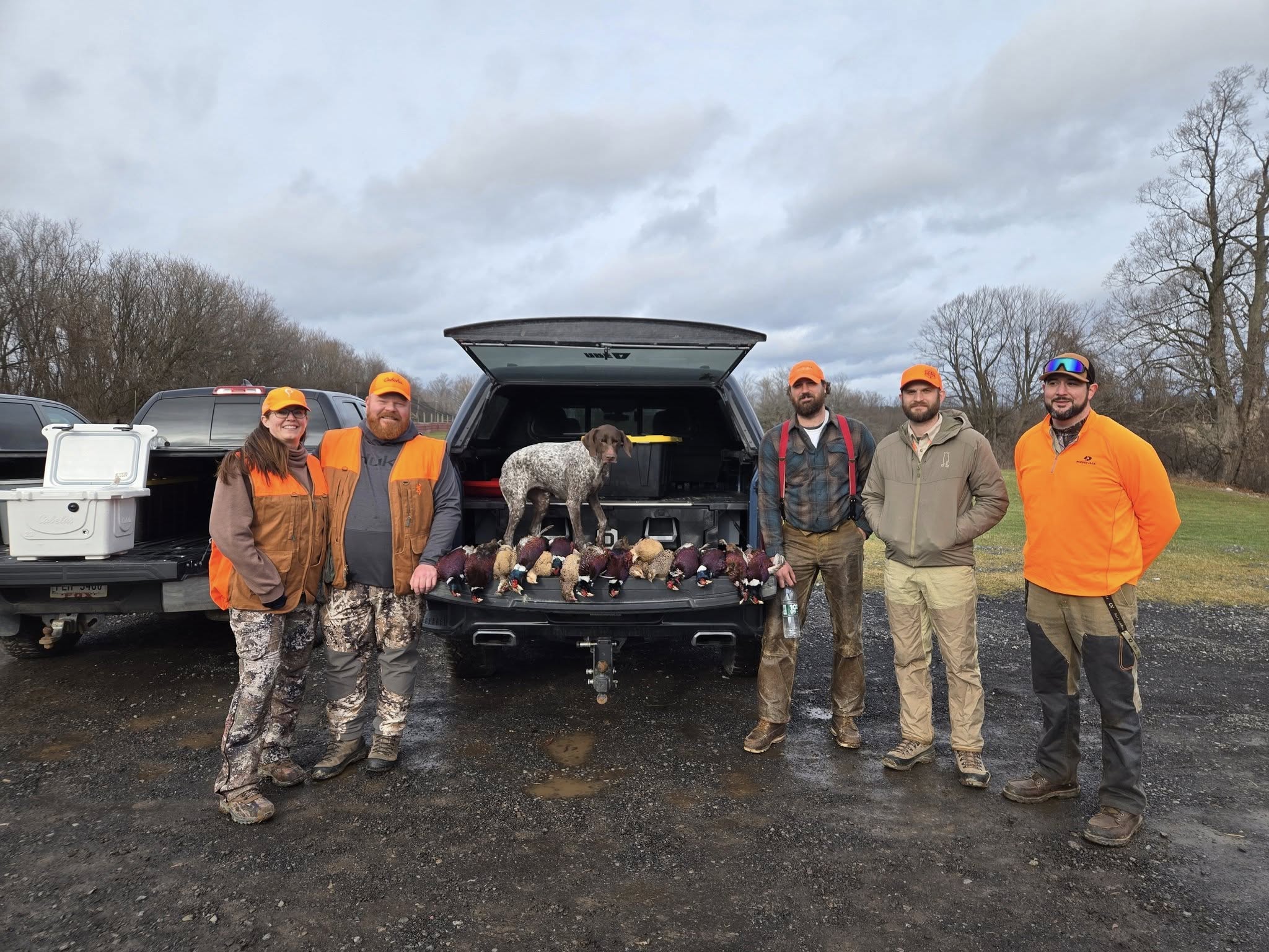 Pheasant Hunting in New York