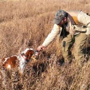 Guided upland bird hunting at Vernon National