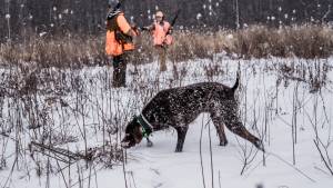 Pheasant hunting near Syracuse NY