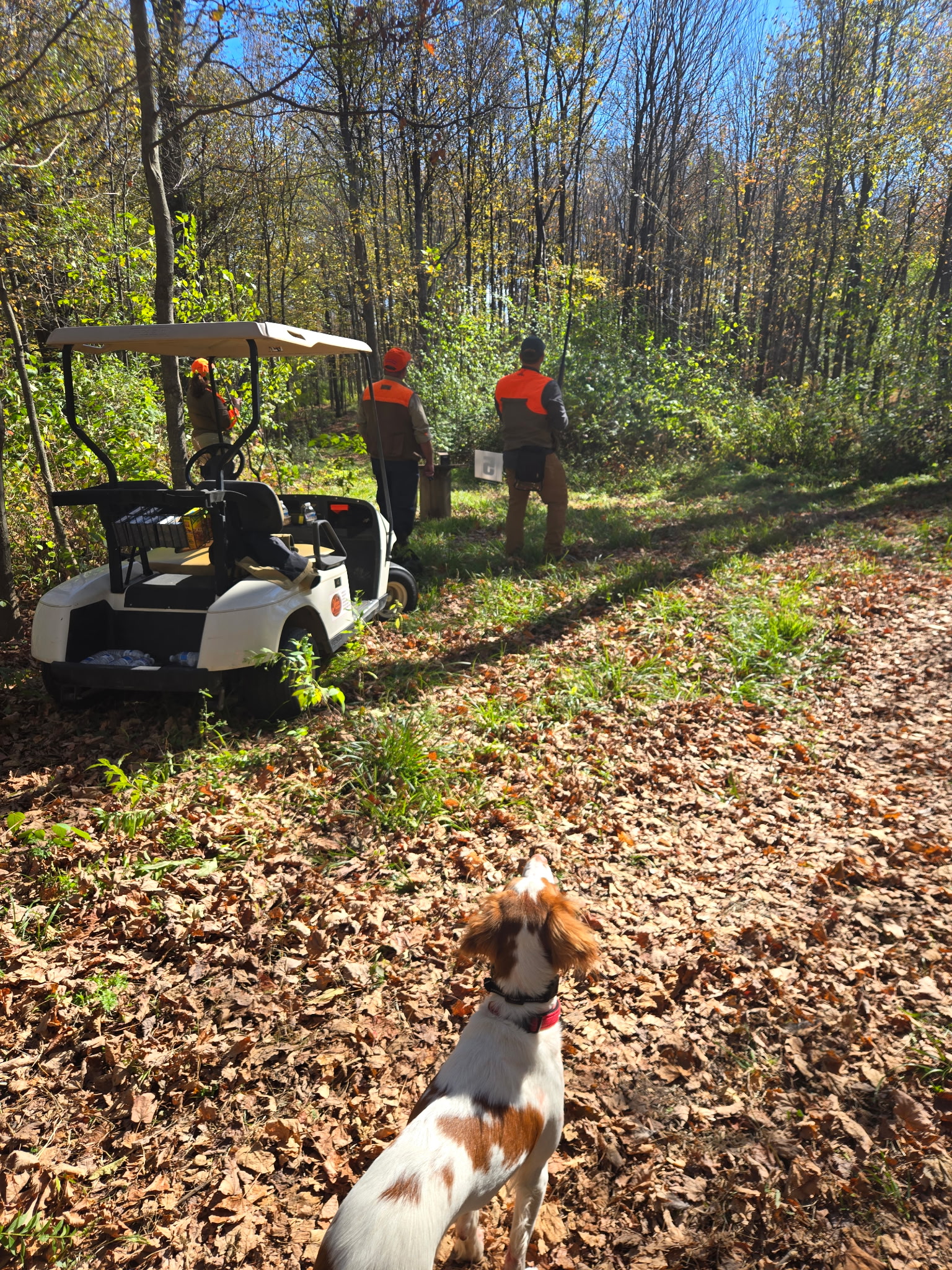 Hunters participating in an upland bird hunting experience at Vernon National