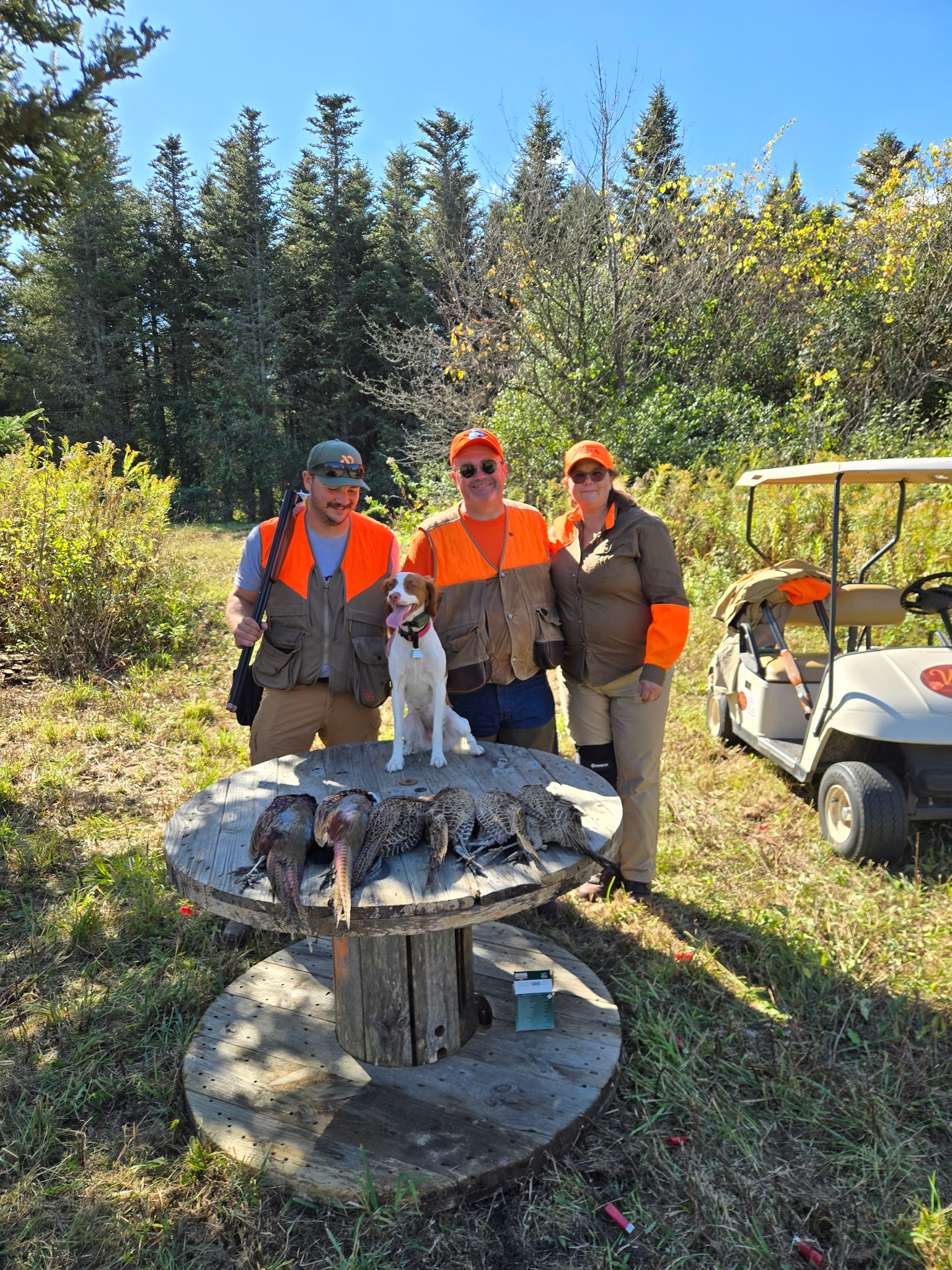 Outdoor pheasant hunting activities at Vernon National Shooting Preserve