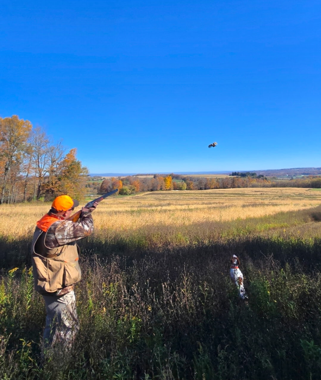 Vernon National pheasant hunting and group experience